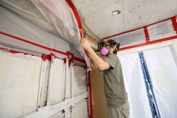 Best Mold Odor Removal Services  in Fanwood, NJ