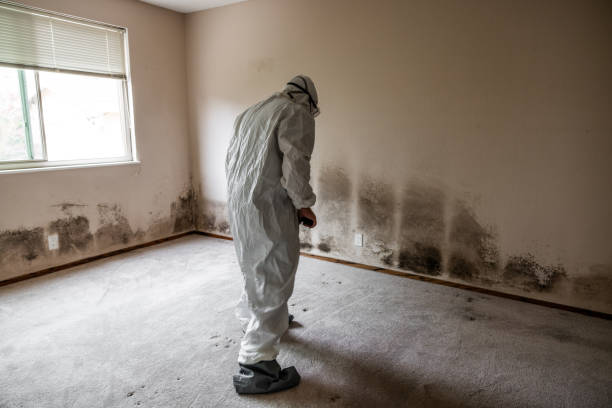 Best Forensic Mold Investigation  in Fanwood, NJ